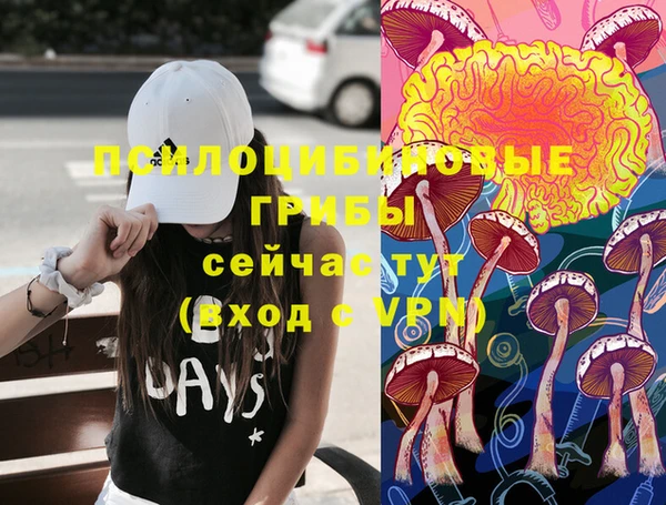 a pvp Пересвет